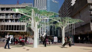 mobilier-urbain-arbre-defense