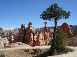 bryce-canyon-parc-national-states-erosion bryce canyon parc national states erosion 250x187 Bryce Canyon National Parc, une reserve naturelle au pays des cowboys