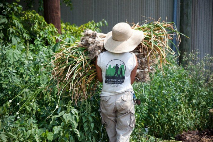 capucin-soup-kitchen-meldrum-street-detroit-aurban-farm capucin soup kitchen meldrum street detroit aurban farm 700x466 La reconvertion verte de Détroit avec les fermes urbaines