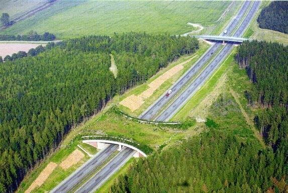 biodiversite integration environnement infrastructures Les infrastructures écologiquement vertueuses récompensées par lIDRRIM