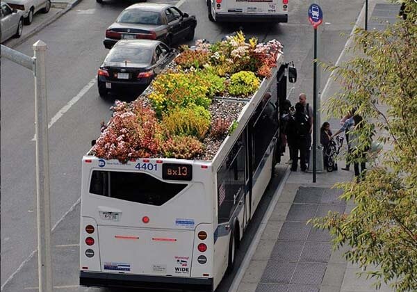 bus toit vegetal Découvrez les bienfaits des toitures végétalisées sur la qualité de lair et la santé