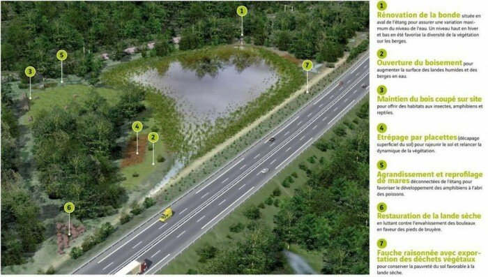 cofiroute etang sologne laureat biodiversite paysage 700x397 Les infrastructures écologiquement vertueuses récompensées par lIDRRIM