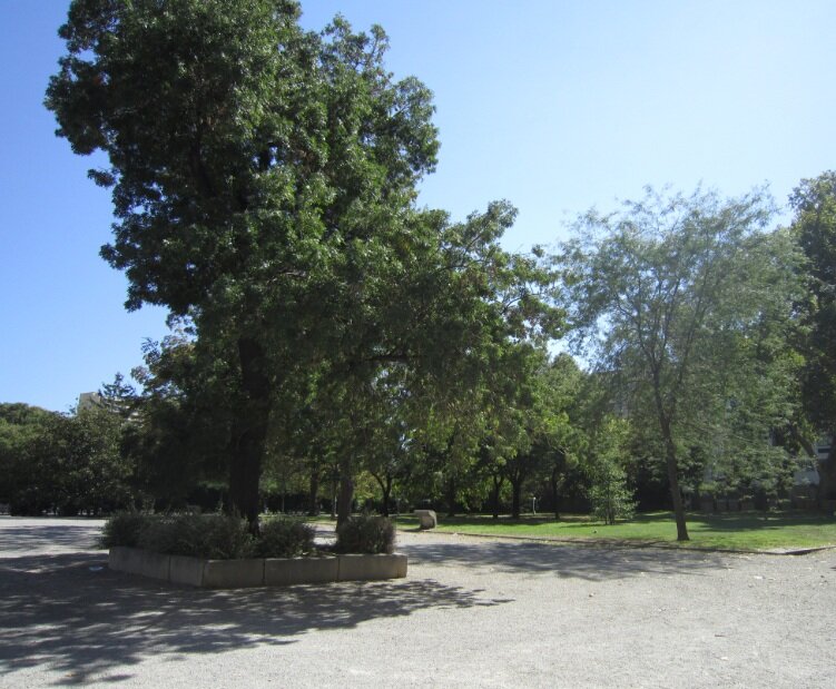 espace-vert-cite-radieuse-marseille