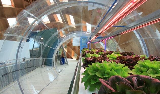 exposition my green world My Green World : un ovni architectural