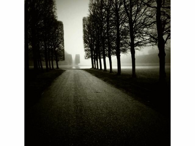 nettie edwards nature La photographie urbaine à l’œuvre des Smartphones