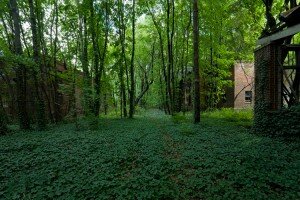 brother island new york city 300x200 Insolite : North Brother Island lile abandonnée au coeur de New York City