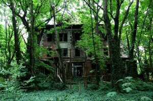 ile-abandonnee-new-york