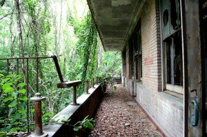 nyc ile fantome abandonne north brother 300x199 Insolite : North Brother Island lile abandonnée au coeur de New York City