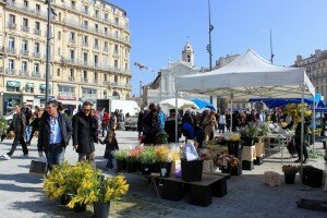 marche fleur vieux port 300x200 Inauguration officielle du Vieux Port à Marseille : reportage photos