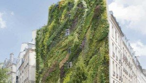 mur-vegetal-ville-paris