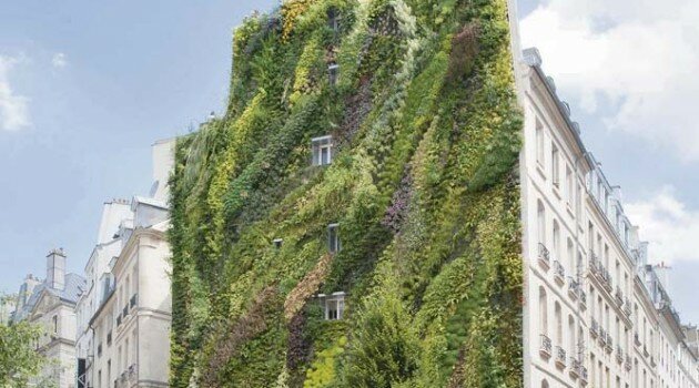 mur-vegetal-ville-paris
