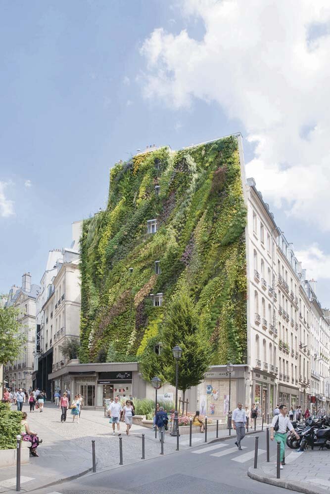 mur-vegetal-ville-paris