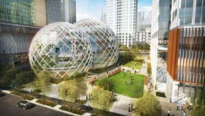 bureaux-amazon-seattle-sphere-verre-nbbj