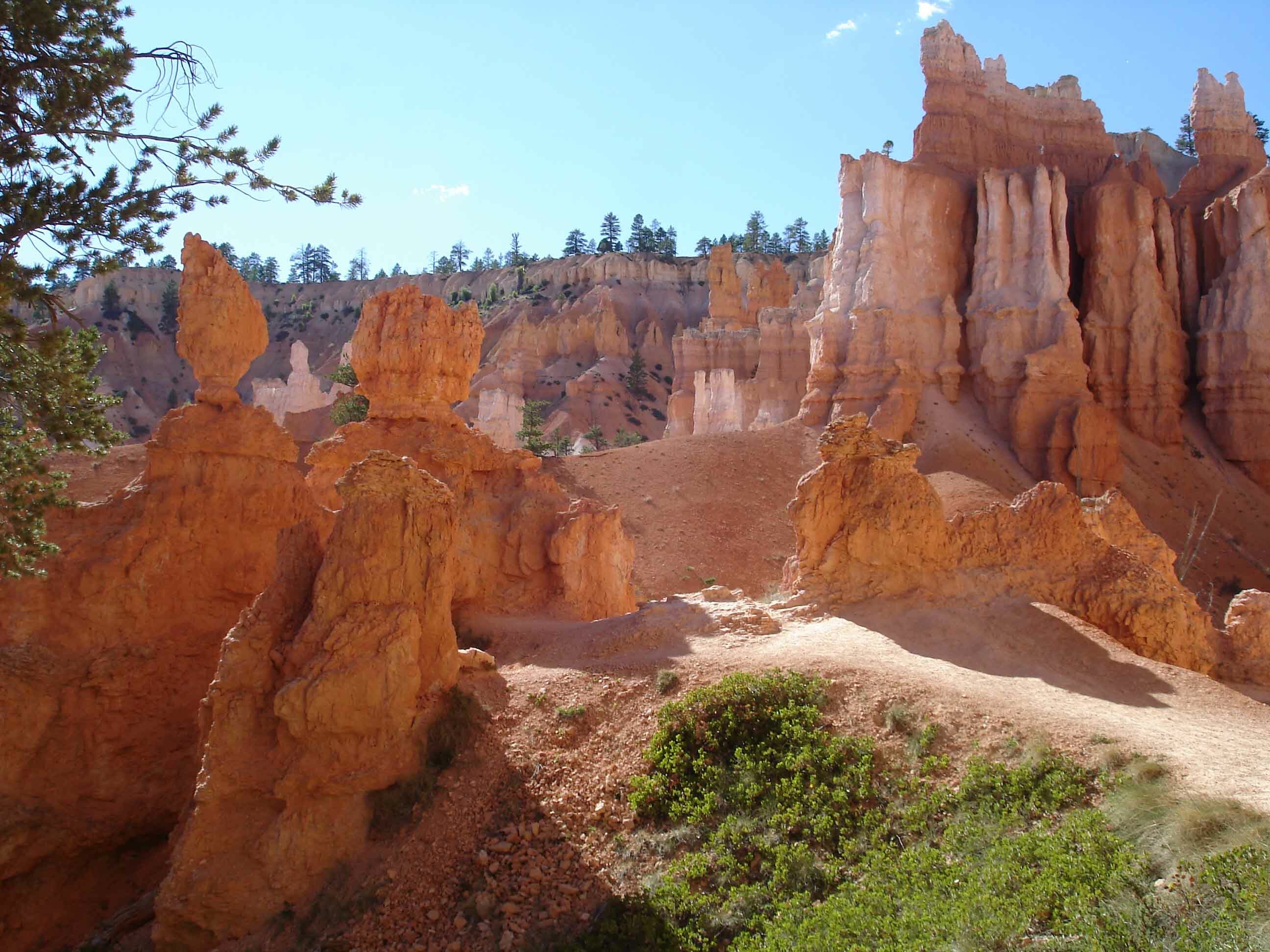 bryce-canyon-chemin-randonnee-states