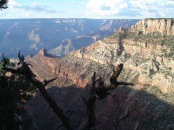 Grand Canyon,Colorado. Paysage mythique de l’ouest américain