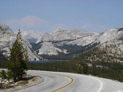 Yosemite National Parc : le parc national incoutournable aux states si vous voulez voir un ours